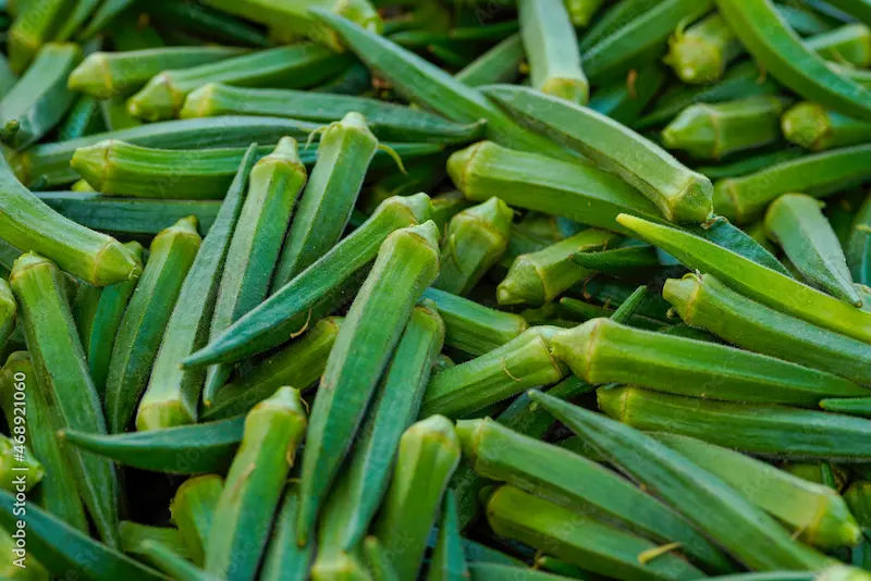 Lady Finger (Bhindi) Ayurvedic Uses, Benefits, and Side Effects